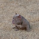 맥스켄넬 이미지