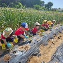 별하농장 이미지