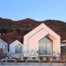 테라머뭄 이미지