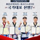 도복소리태권도장 이미지