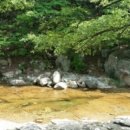 대운상대길 이미지