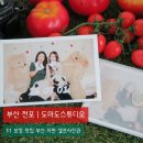 [부산 전포 도마도스튜디오] 부산셀프사진관 보정패키지 후기
