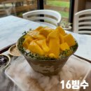 서마산시장 | 마산 빙수 맛집 16빙수 애플망고 빙수 먹고 온 후기