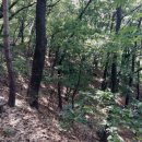 청주 당산토성 이미지