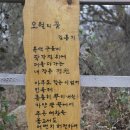 김흥기농장 Daum카페