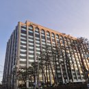 평택 평안 월드캣 | '26.01월 : Fresh Start!!