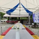 (주)명인관광