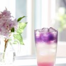 샌드블라썸