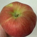 어울농장 이미지