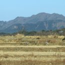 두루미202 이미지