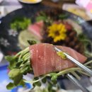 약속음식점 | 신도림맛집 진참치 신도림참치집 추천｜신도림역룸있는음식점 회식장소 후기