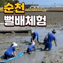 순천만 거차뻘배체험장 | 『갯벌이 좋아요』를 읽고, 순천 여행: 거차 뻘배 체험장
