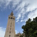 꿈나라민박 | [스페인, 포르투갈 2주 혼자 여행기] part.2_세비야 2박 3일