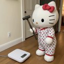 죠죠일식 네이버블로그
