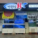 부평 송내점 만원상회 &amp; 숙성회 맛집 오마카세 송내역 횟집