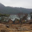 올라플로르