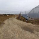 오가면010 이미지