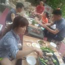 사지목 나무그늘 이미지