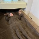 전참시 풍자 효소찜질 피부 및 체형관리 독소 배출 내돈내산 후기