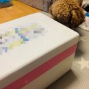 콜라네 반찬가게 이미지