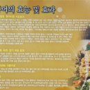 신홍어마을