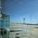 711 | 대한항공 기내식 : KE711 도쿄 수하물규정 좌석후기