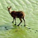 새들의 정원 이미지