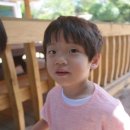 초록나라유치원 이미지