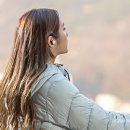 달려라제이