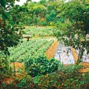 목동동로1길 이미지