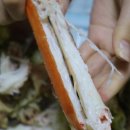 정직한유통
