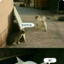 취한남자