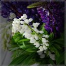 신안산대학교 | 신안산대학교 오피스 사용 후기