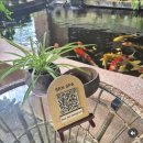 C.F호텔 | 🇻🇳 2월 13일 ~ 17일, 나트랑에서 보낸 4박 5일 기록 센스파 · 퓨전리조트 · 하바나 호텔 완벽 정리