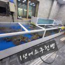 하이벳수산충북