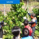 산모랭이풀내음 이미지