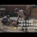 숲을 키워 새들을 부른다. 이미지
