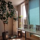 (주)해피나무 이미지