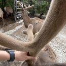양록식품