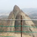 천연염색머리방 Daum카페