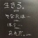 메밀리