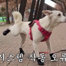 뚱땅뚱땅 이미지