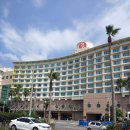 탑동산호전복 이미지