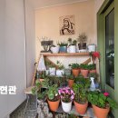 한전식당 이미지