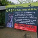 새인농장 | 가평 가볼만한 곳 아침고요가족동물원 가격 및 이용방법