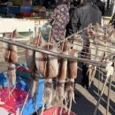 뉴-스위트 모텔 이미지