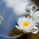 힐링의 바다 이미지