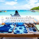 콘타이와꼬란타이 - 고양시 덕양구 고양대로 1955 | 태국 자유여행 코스 파타야 산호섬 투어 비용 꼬란섬 반일투어 준비물 꿀팁