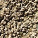 해녀할매집 이미지