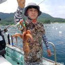 통영도산낚시 Daum카페